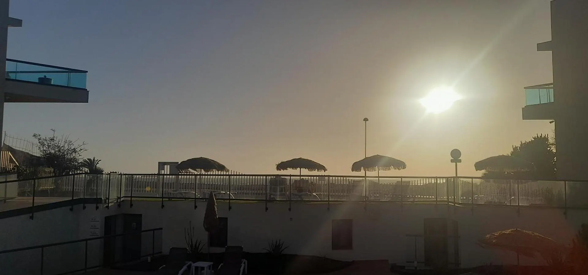 Cotillosurfview