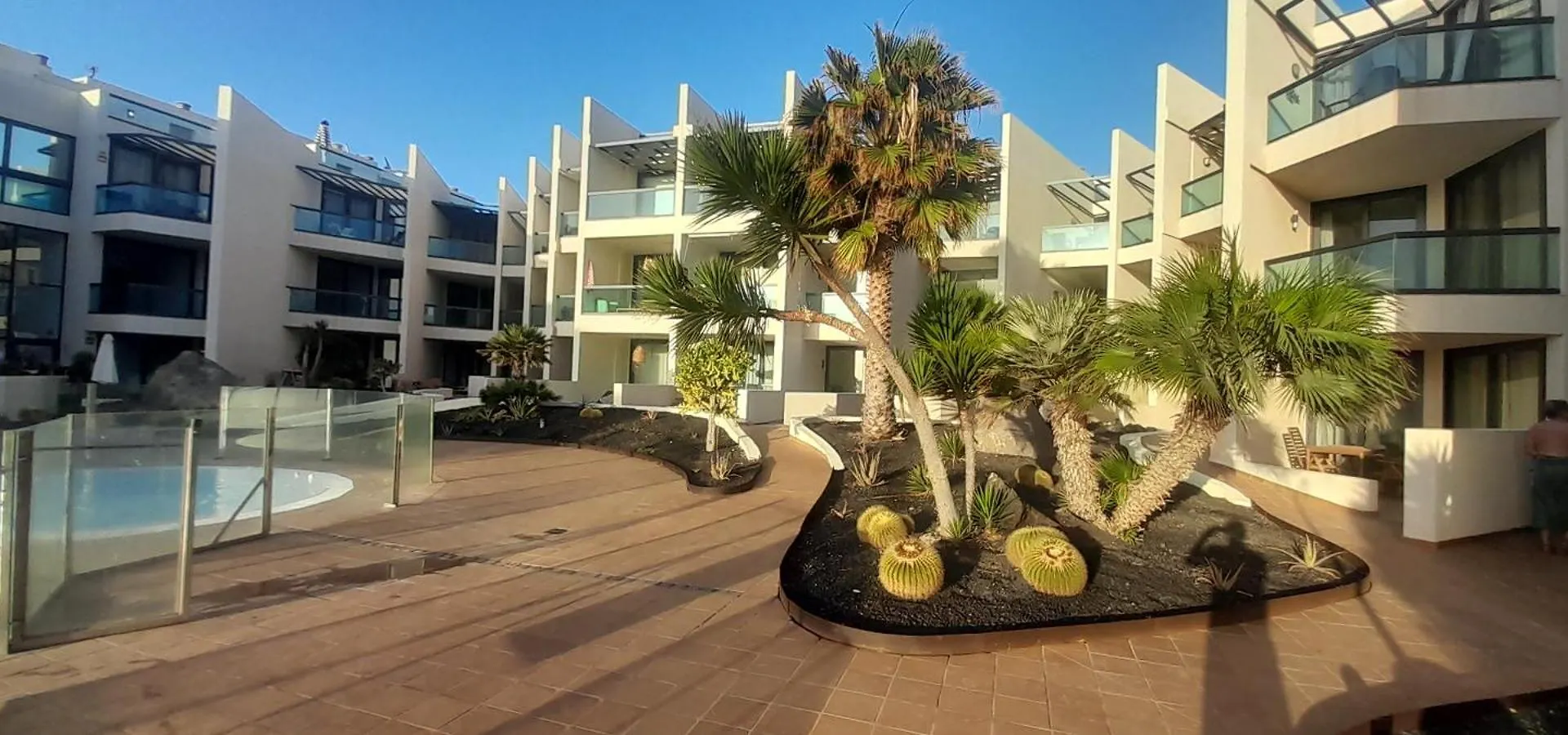 Cotillosurfview Spain