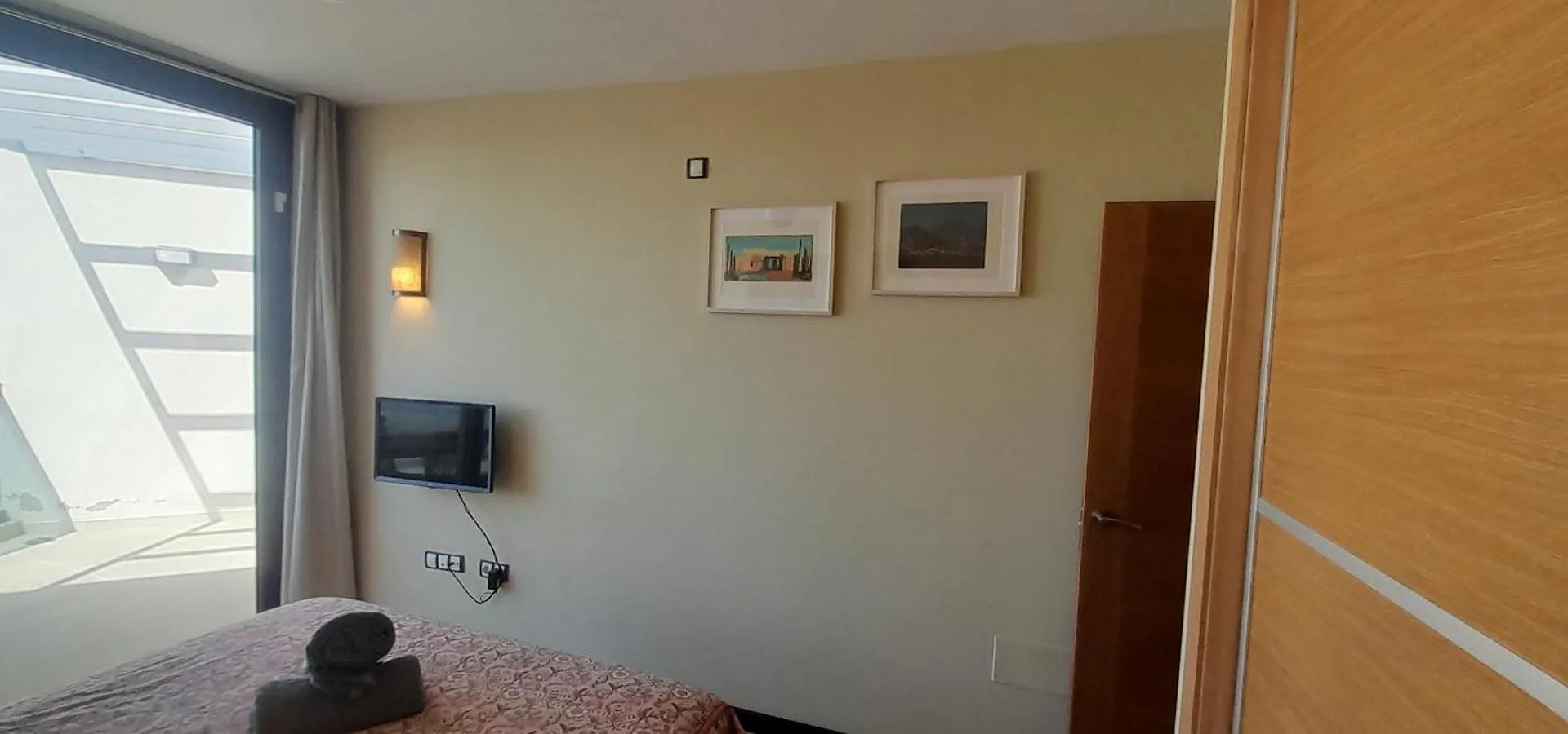 Cotillosurfview