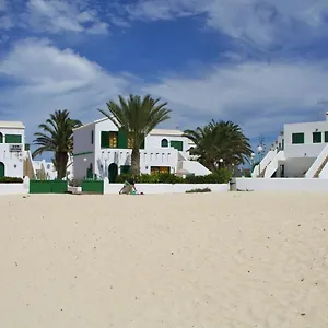 Loti Cotillo